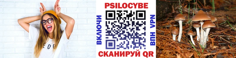 omg сайт  Кораблино  Галлюциногенные грибы MAGIC MUSHROOMS  закладки 